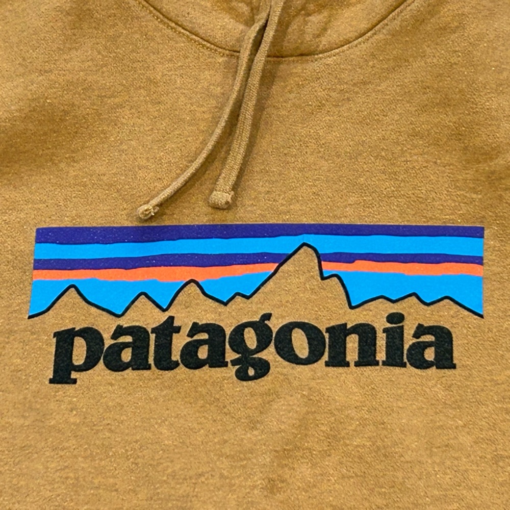 PATAGONIA women’s hoodie, size large - Picture 8 of 8